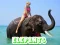 Juego Elephants Puzzle en línea