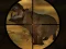 Juego Classical Hippo Hunting en línea