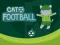 Juego Cat Football en línea