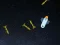 Juego 5 Minutes in Space en línea