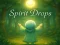 Juego Spirit Drops en línea