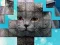 Juego PicPu Cat en línea