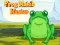 Juego Frog Match Master en línea