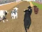 Juego Angry Bull Racing en línea