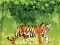 Juego Angry Tiger Coloring en línea