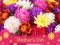 Juego 2019 Mother's Day Puzzle en línea