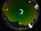 Juego Alpaca Run en línea