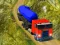 Juego Indian Cargo Truck Simulator en línea