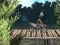 Juego Bike Trial Xtreme Forest en línea