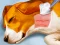 Juego Dog Hospital en línea