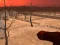 Juego Wasteland Shooters en línea