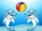 Juego Dolphin Show en línea