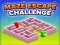Juego Maze Escape Challenge en línea