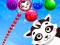 Juego Raccoon Rescue en línea