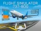 Juego Flight Simulator 737-800 en línea
