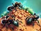 Juego Ant Colony en línea