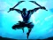 Juego Shadow Ninja Revenge en línea