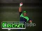 Juego Cricket Fielder Challenge en línea