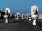 Juego Hunt Skibidi Toilet en línea