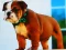 Juego Bulldog Puppy Puzzle en línea