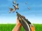 Juego Bird Hunting en línea