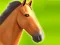 Juego Horse Run 3D en línea