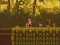 Juego The Lost Forest en línea
