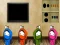 Juego Delicate Boy Escape en línea