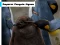 Juego Emperor Penguin Jigsaw en línea