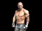 Juego Fight Arena Online en línea