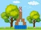 Juego Box Challenge en línea