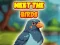Juego Meet The Birds en línea