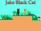Juego Jake Black Cat en línea