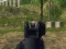 Juego Army Shooter en línea