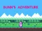 Juego Bunn's Adventure en línea