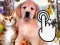 Juego Pets Clicker en línea