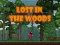 Juego Lost in the Woods en línea