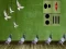 Juego Pigeon Escape 2 en línea