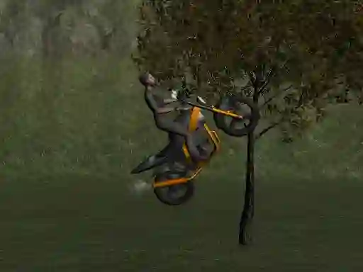 Juego Mountain Bike Rider en línea