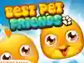 Juego Best Pet Friends en línea