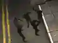 Juego Zombie Reborn en línea