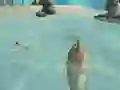 Juego Shark Simulator Beach Killer en línea