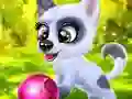 Juego Happy Dog en línea