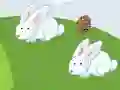 Juego Crazy Eggs en línea