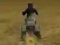 Juego Real Moto Stunts Challenge en línea