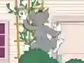 Juego Tom und Jerry: Wasserbomben Wahnsinn en línea