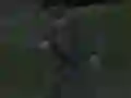 Juego Soviet Sniper en línea