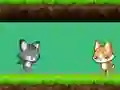 Juego Cat vs Dog en línea