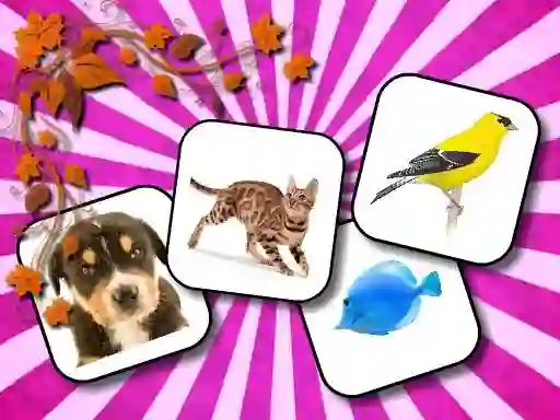 Juego Animals Memory en línea