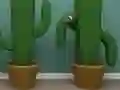 Juego Cactus Cube en línea